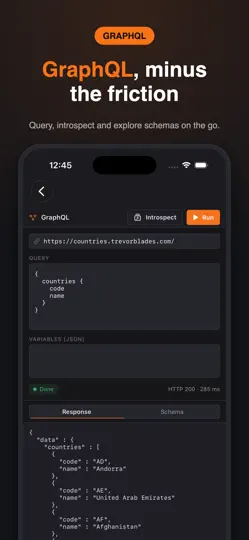 Postmon - Rest API Client iPhone Ekran Görüntüsü 3