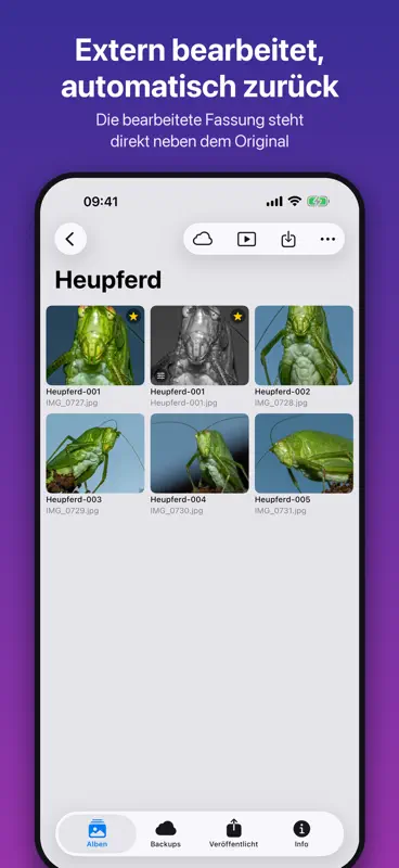 Fotoarchiv – Fotosafe screenshot 4 of 10