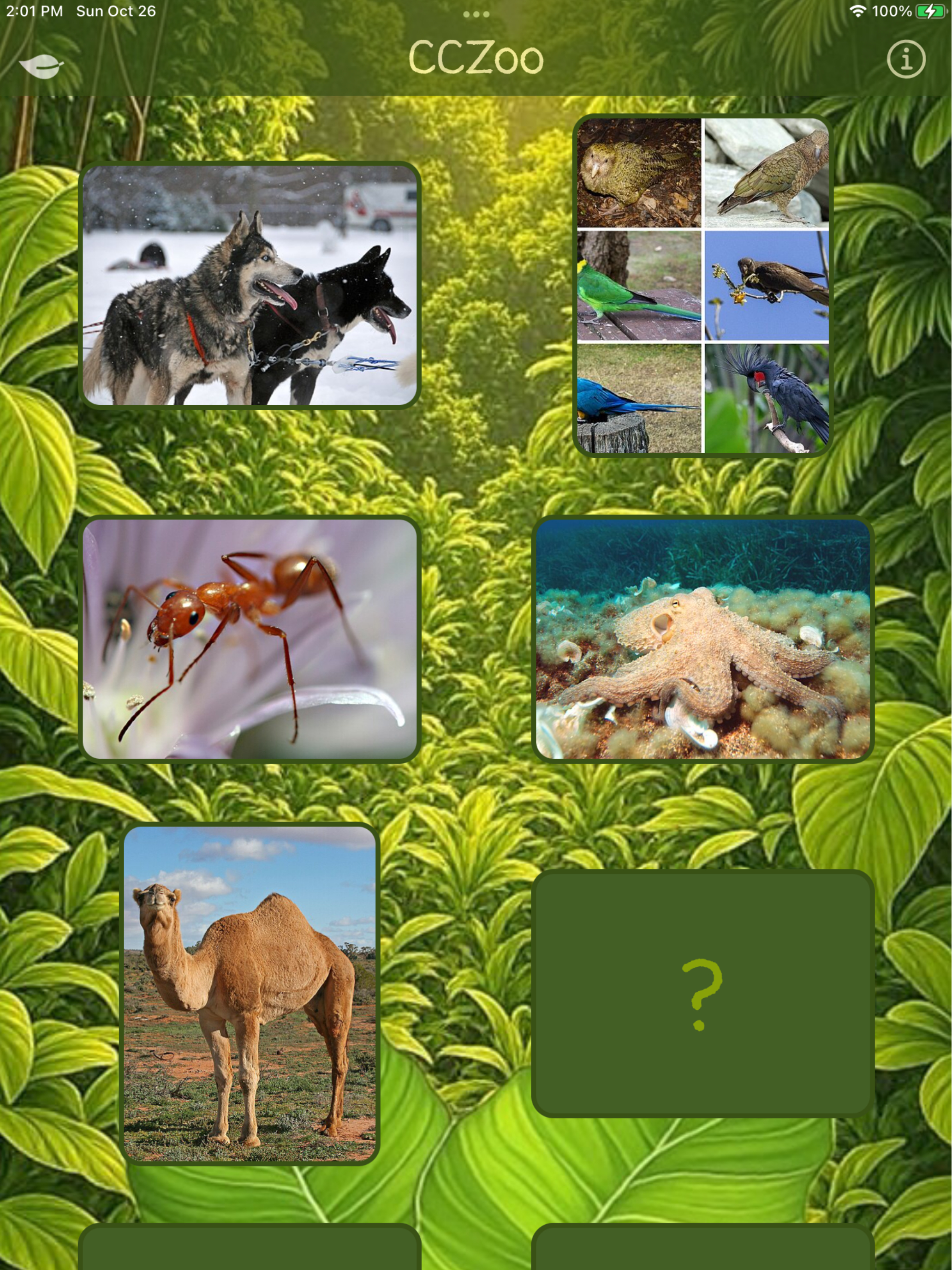 Critter Clues Kids screenshot 12
