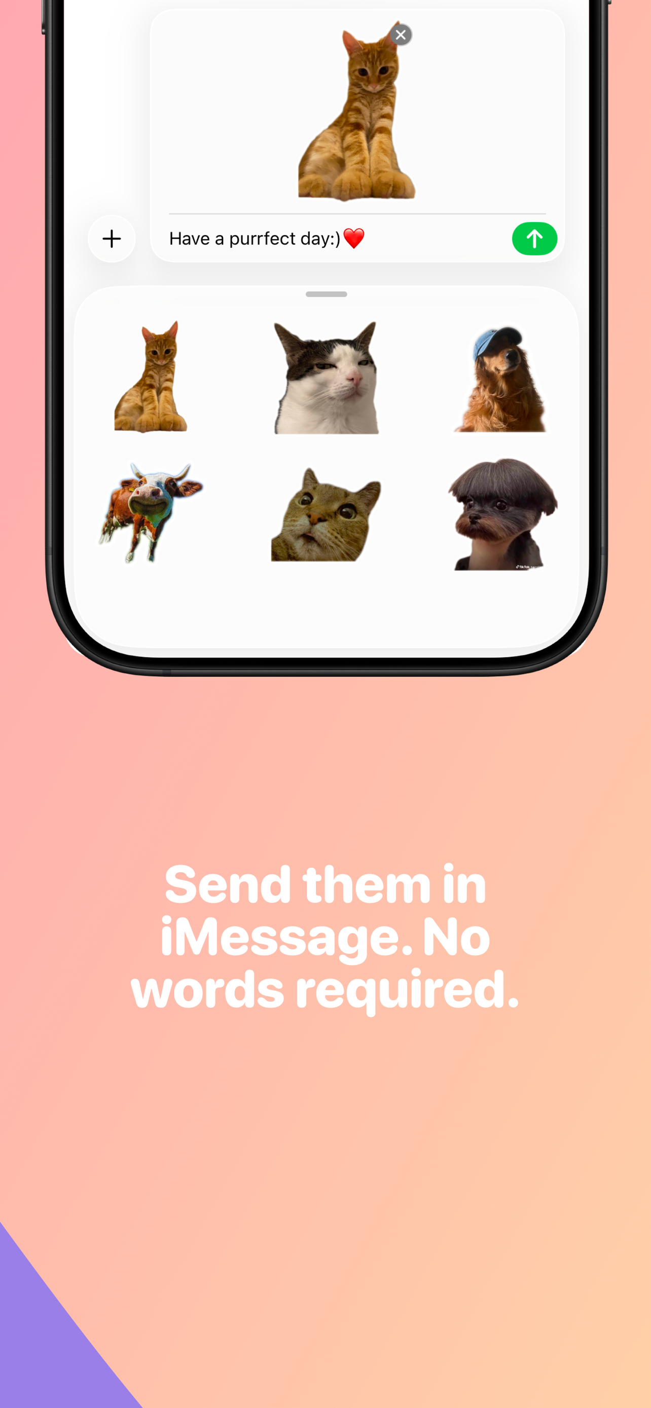 Fluffsy - Your Pet's Voice screenshot 10