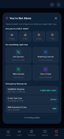 RoadMap4Recovery screenshot