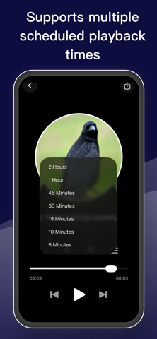 Crow Call Player:predator call screenshot