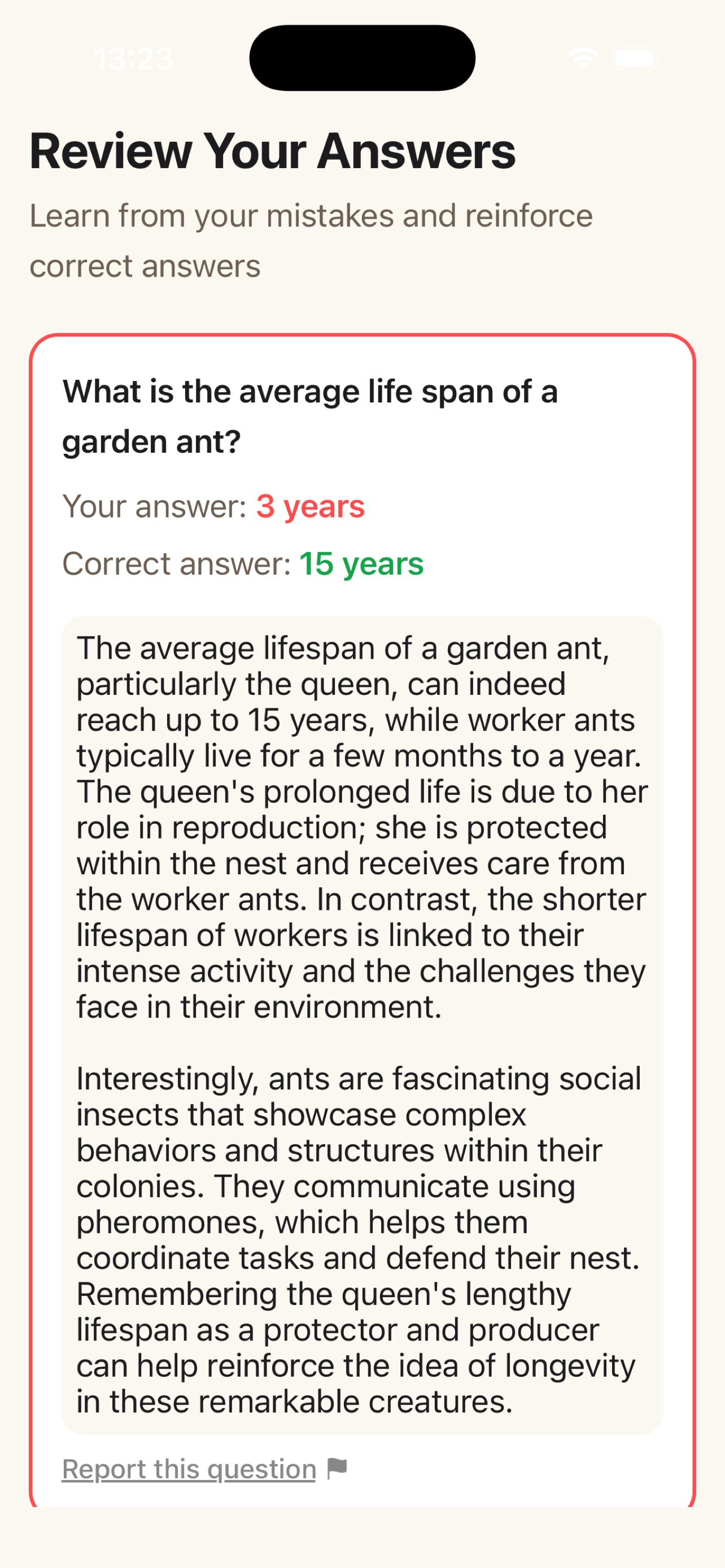 Erudico screenshot 3
