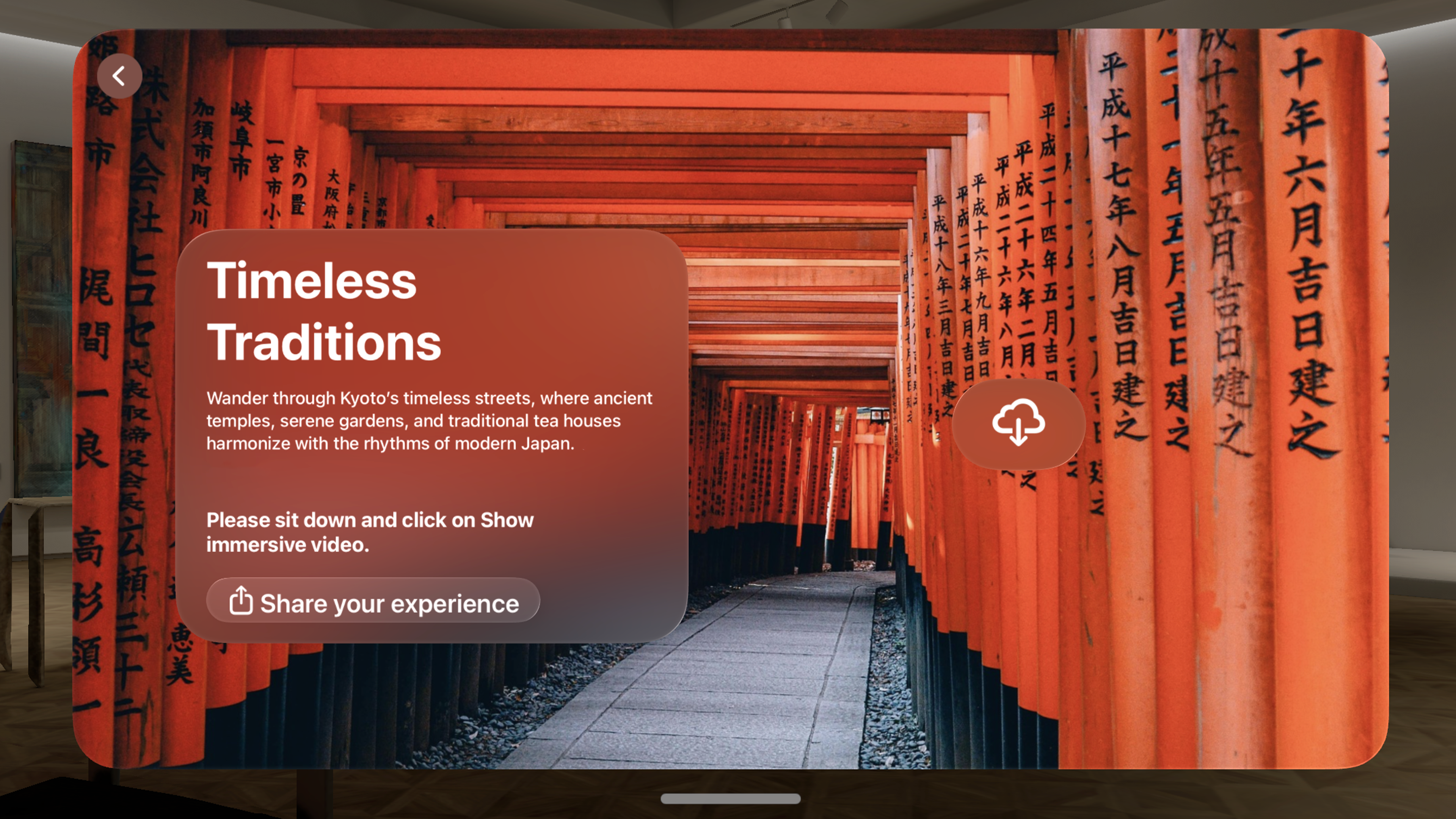 Immersive Video