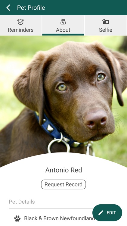 North Rocks Vet Hospital