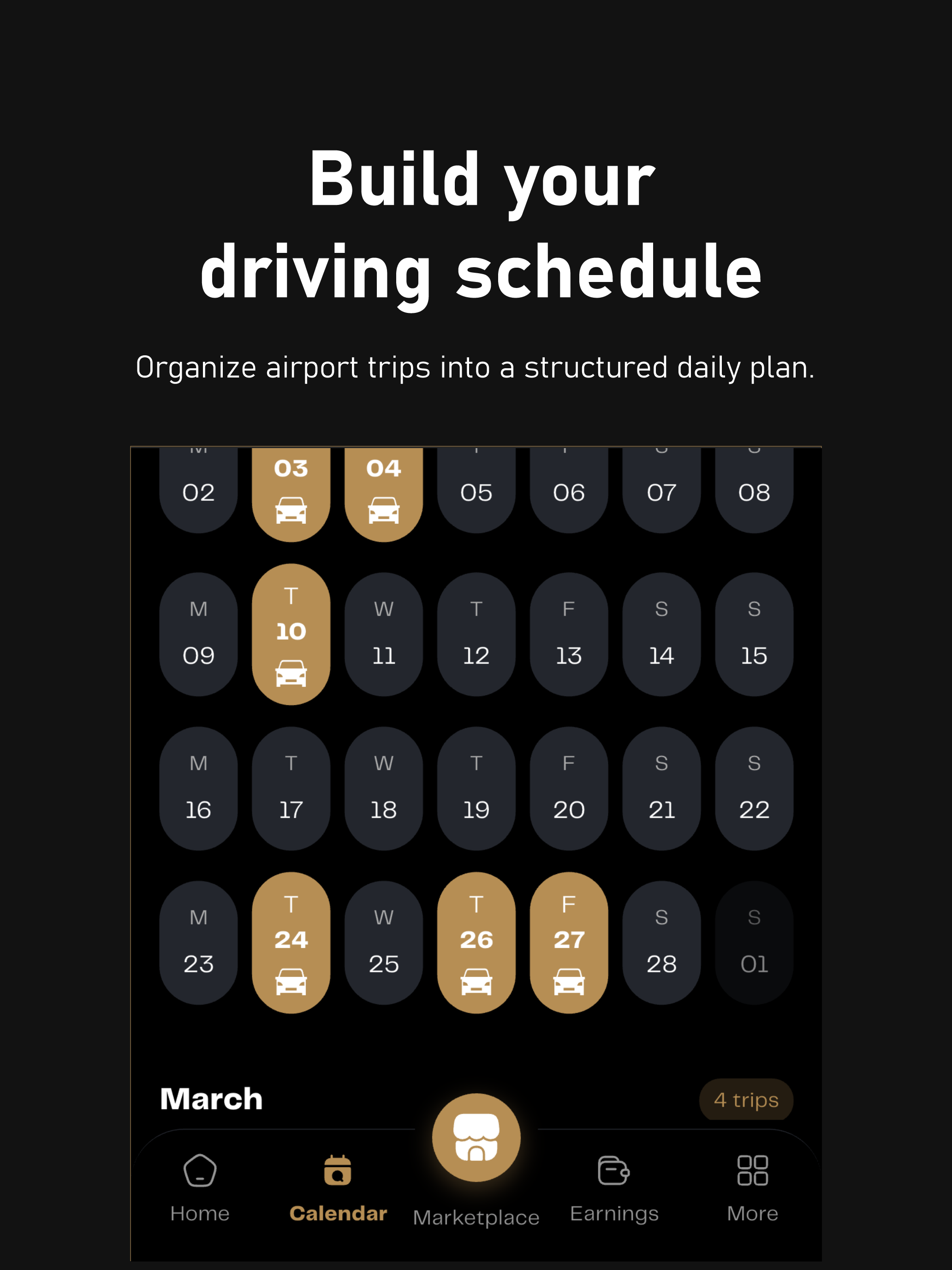 AirportRun Driver screenshot 11