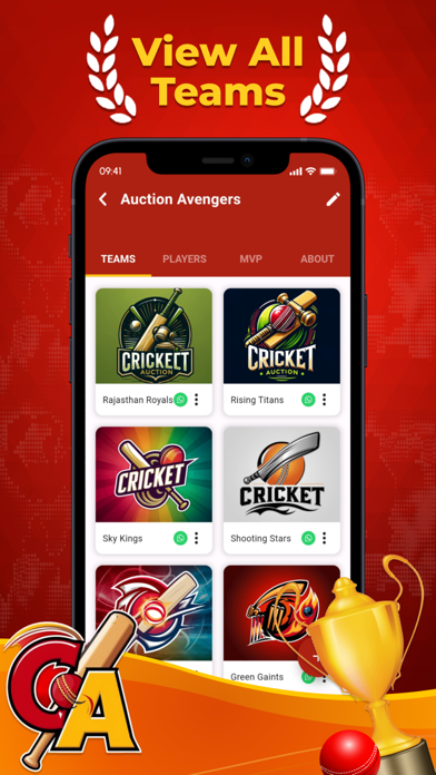 CricAuction - Cricket Auction Screenshot