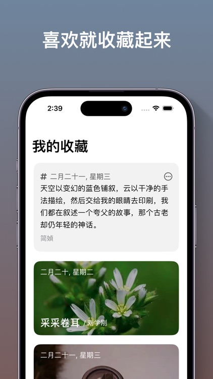 Valley - Daily happy reading