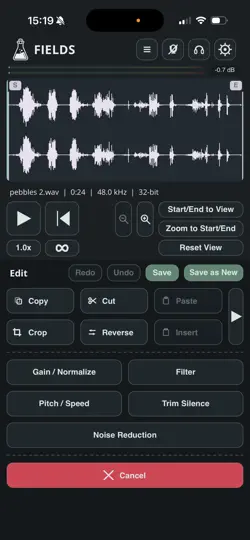 Captura de pantalla de Fields - Audio Recorder en iPhone 2