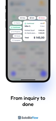 SoloBizFlow screenshot