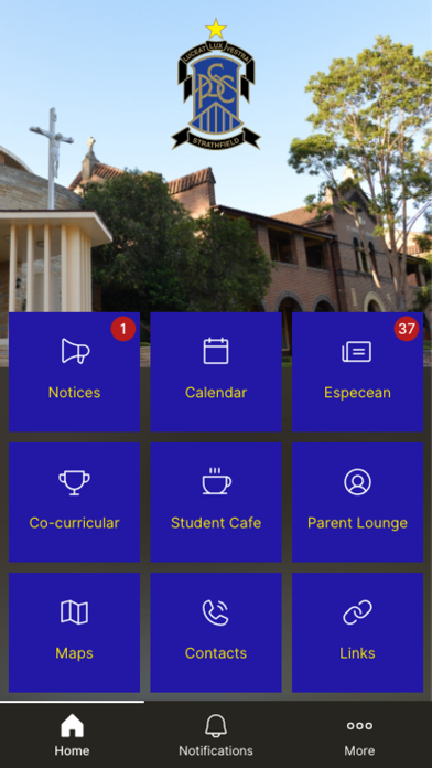 St Patrick's College Screenshot