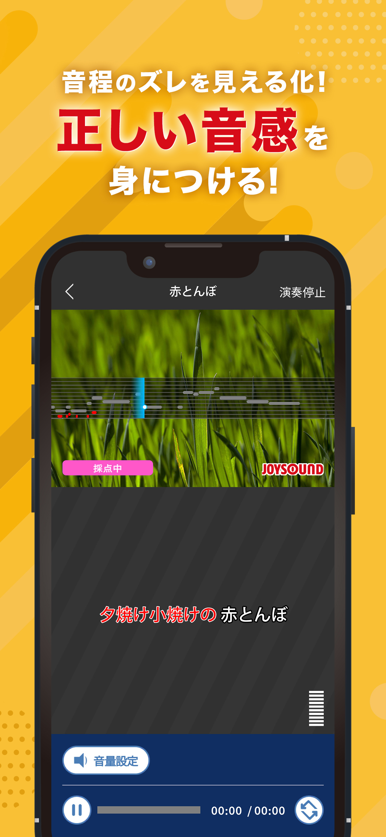 MissionJapanese (ミッションジャパニーズ)