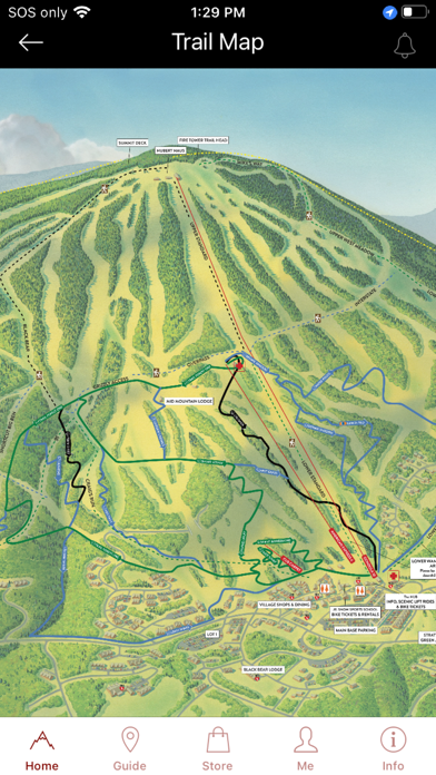 Screenshot #2 pour Stratton Mountain