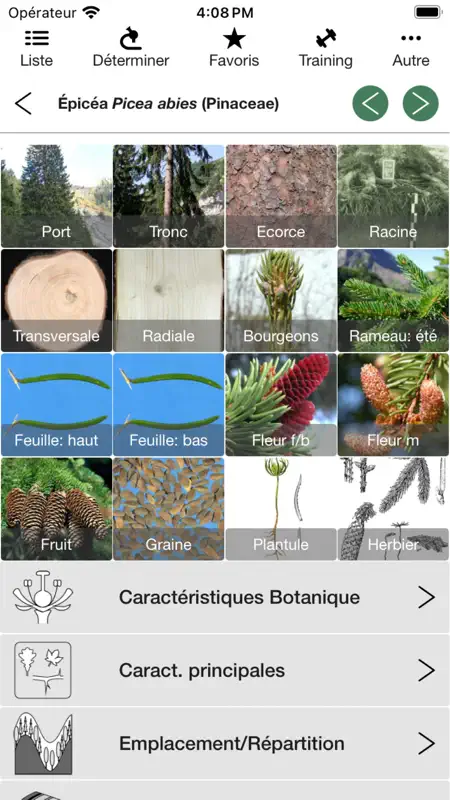 iForest – Arbres et Arbustes screenshot 2 of 5