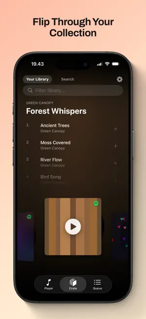 Spinyl - Vinyl Music Player screenshot 2