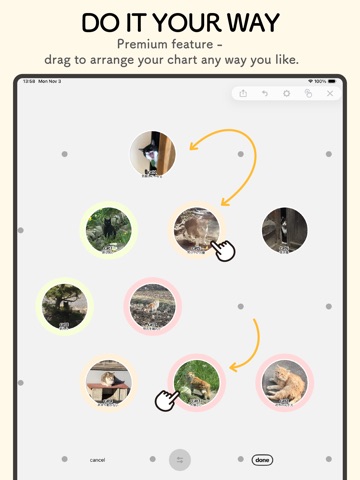 Orange Chart - character maps iPad screenshot