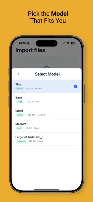 Private Transcriber Offline screenshot 4