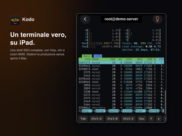 Kodo: editor codice AI e IDE iPad screenshot 7