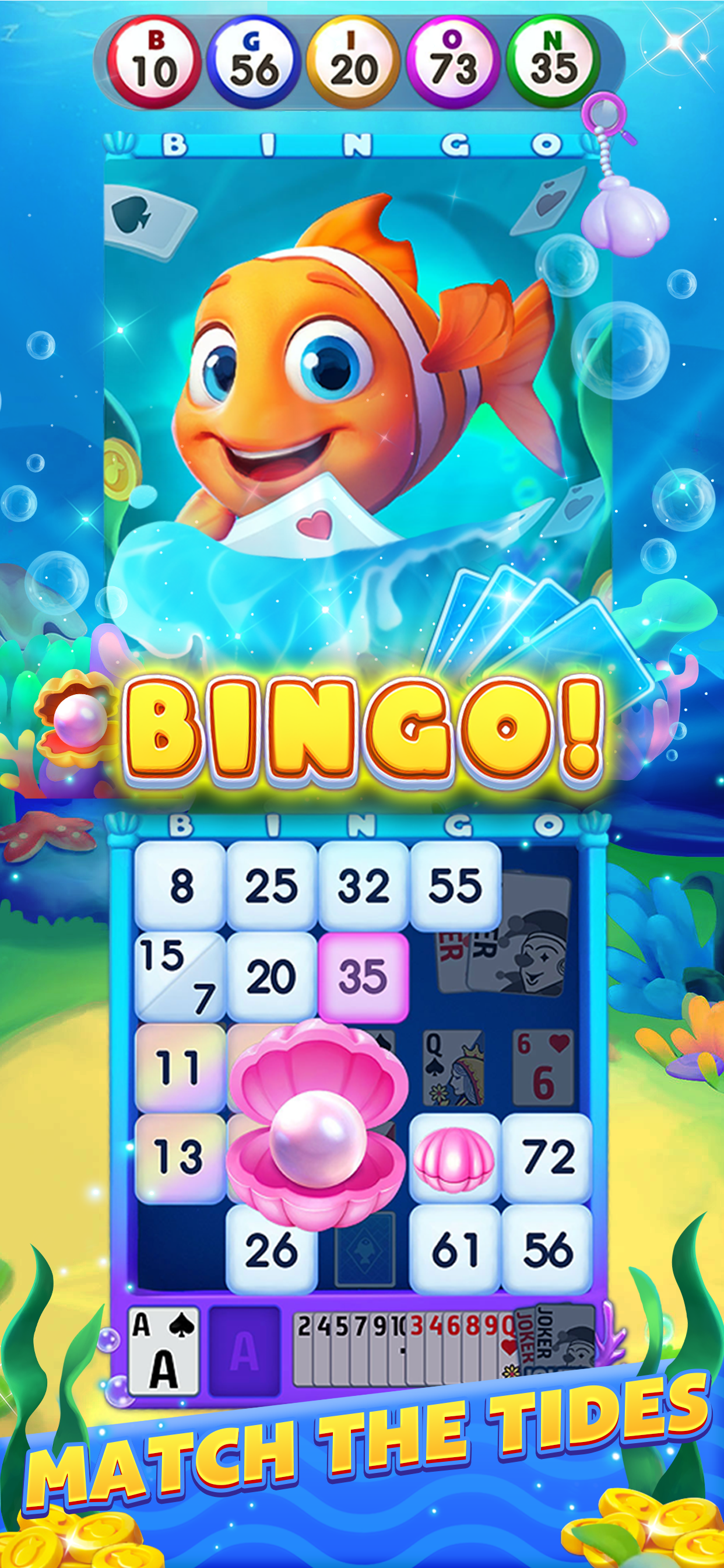 Live Party Bingo -Casino Bingo