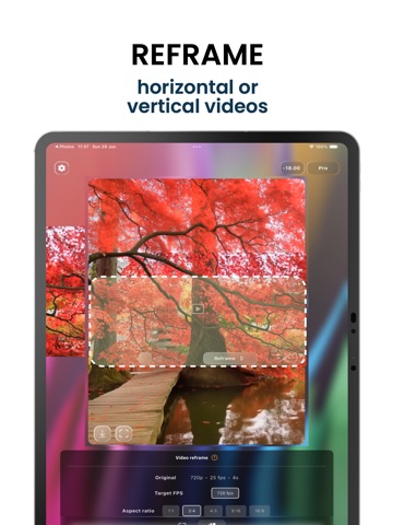 UltraSharp AI Upscaler & Edits iPad screenshot