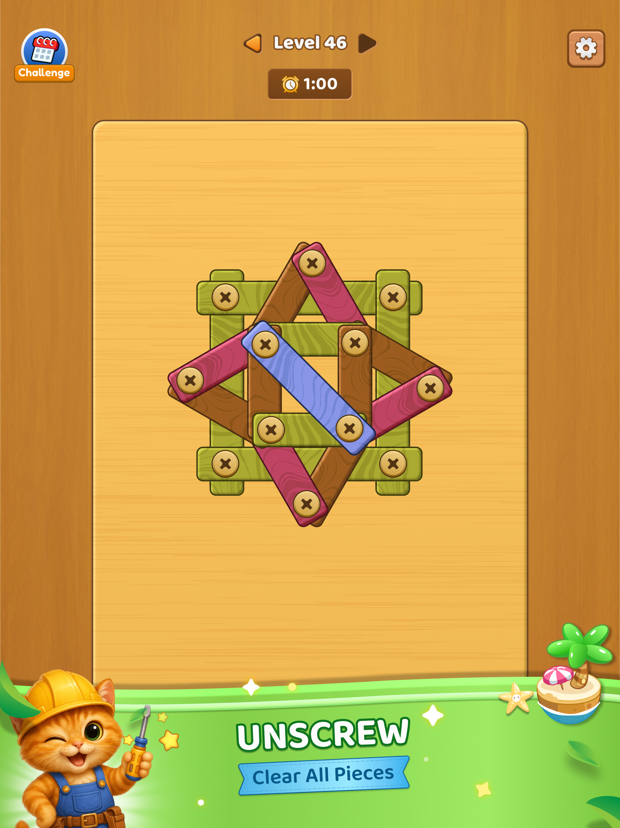 Nuts and Bolts: Screw Puzzles
