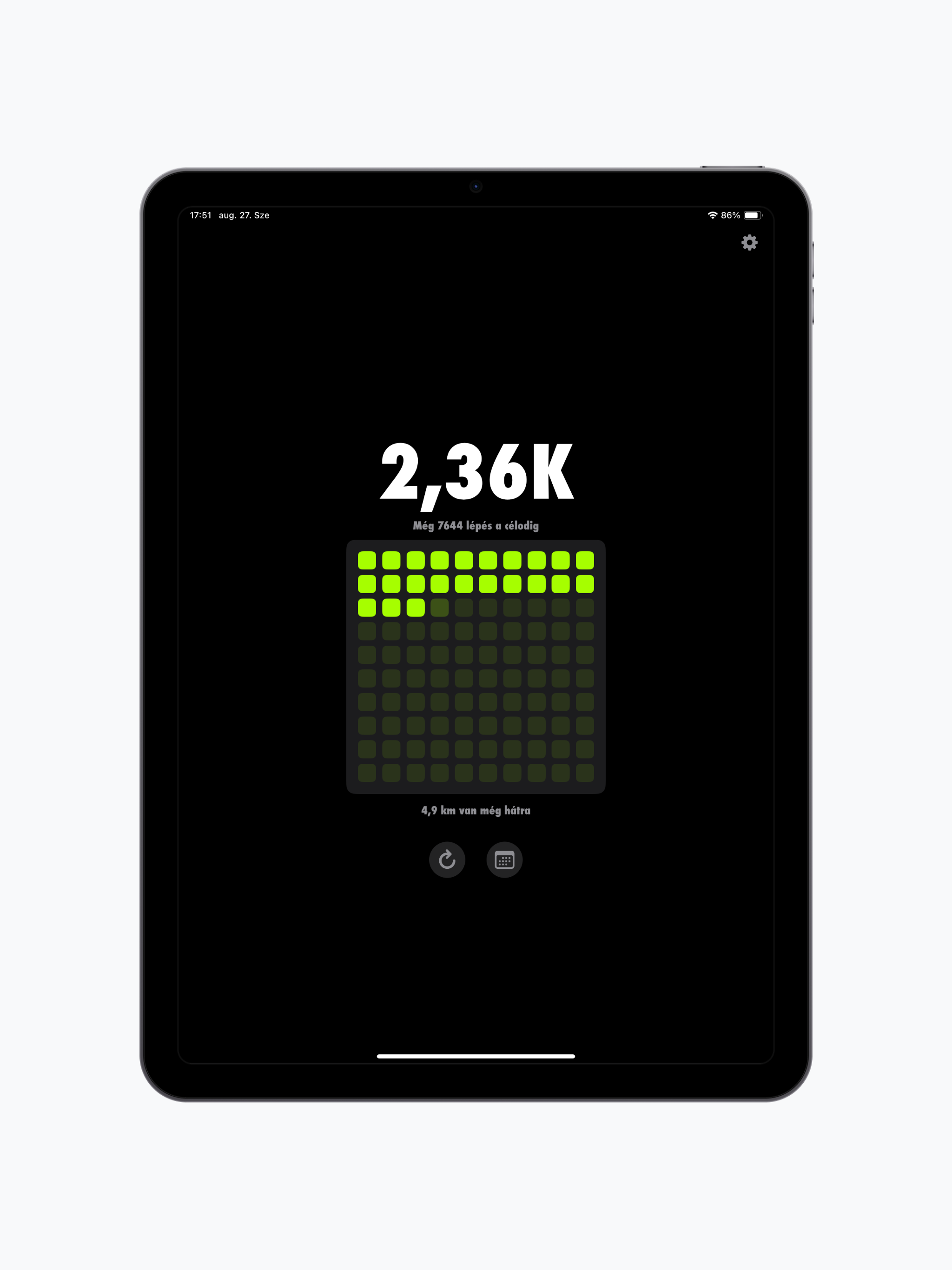 StepGrid - Step Counter screenshot 6