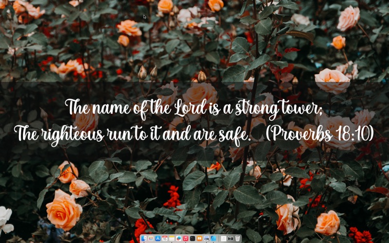 Screenshot #2 pour Desktop Verse