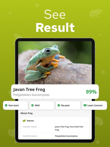 Frog Identifier – Frogium iPad screenshot