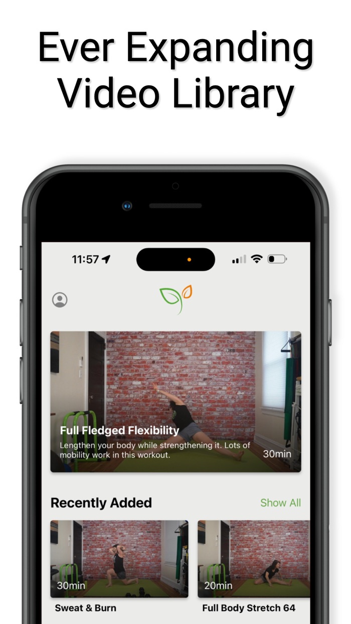 BowenWork Fitness-Healthy Lion