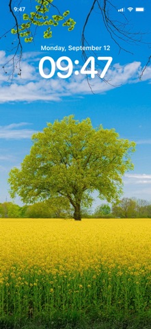 4K Wallpapers HD Background Screenshot 2 of 10