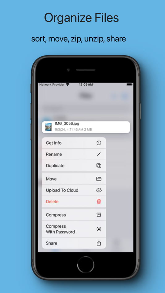 #2. MyFiles - File Manager Browser (iOS) 由: 亮辉 赵