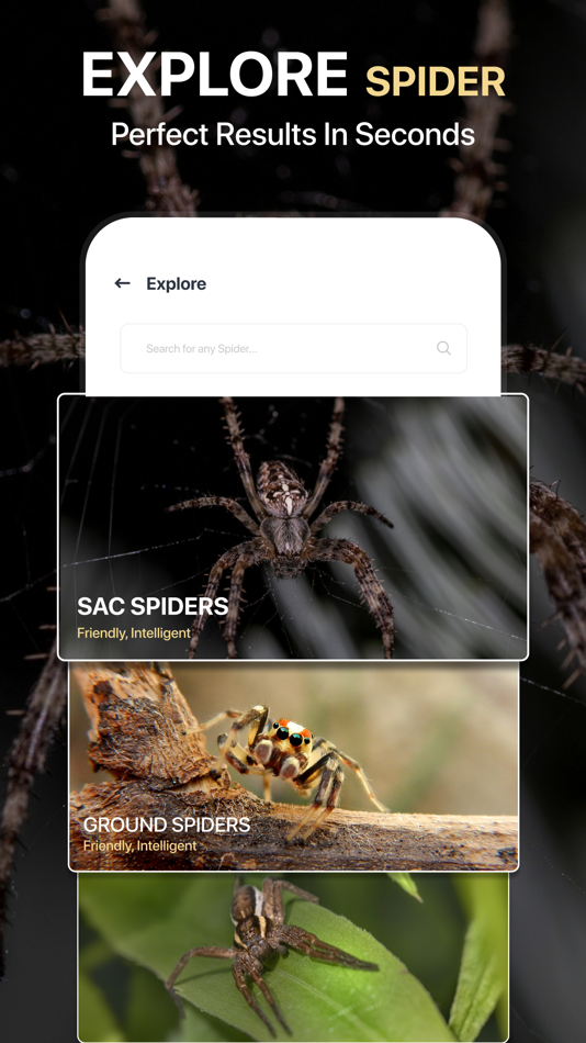 #3. Spiders Identifier by Photo ID (iOS) 来自: Zain ul Abdin