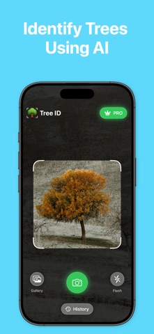 Tree Identifier: Tree AI screenshot