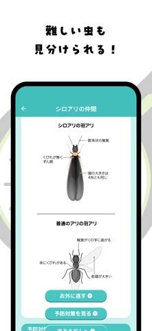 虫みっけ！ のスクリーンショット