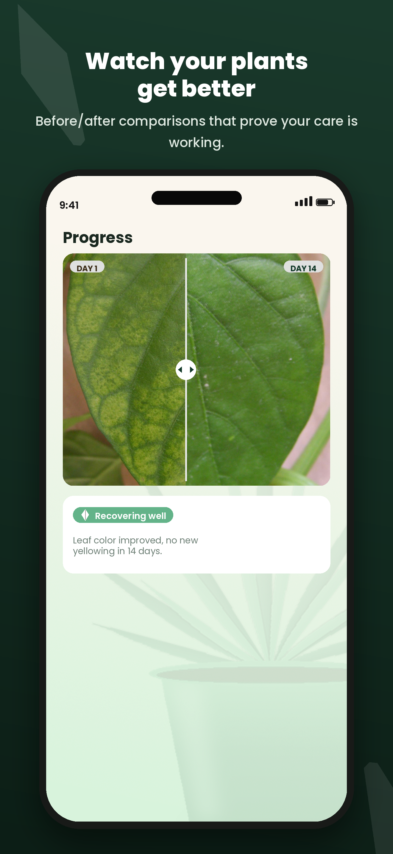 PlantMD: Plant Care & Doctor screenshot 4