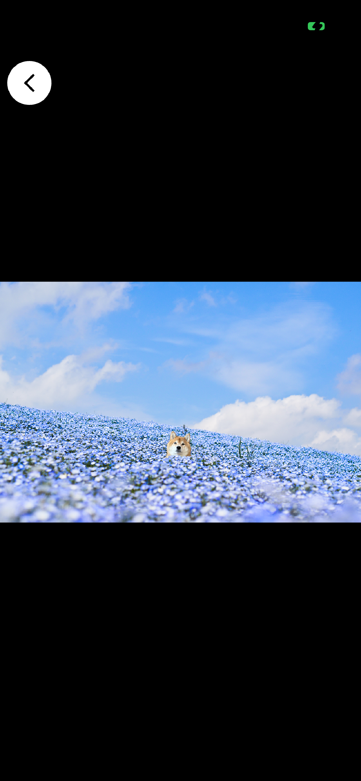 せかいを旅するうちの子 screenshot 4