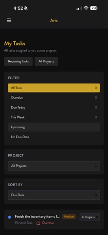ARIA - Worship Team Assistant iPhone screenshot