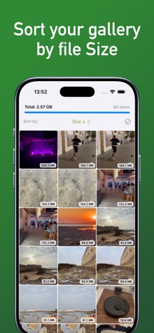Photo Sorter: Size & Storage Screenshot 1 of 3