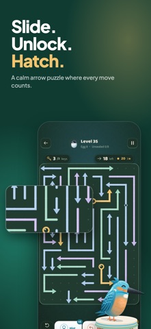 Hatchlock: Arrow Puzzle screenshot 1