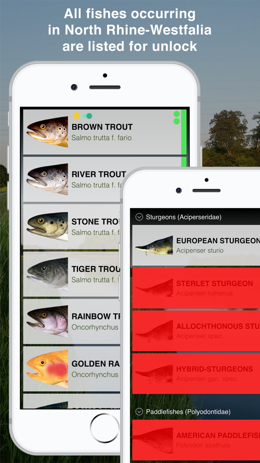 #2. Fishguide NRW (iOS) 由: Robin Schaefer