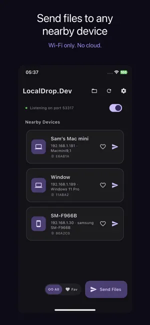 LocalDrop.Dev screenshot 1