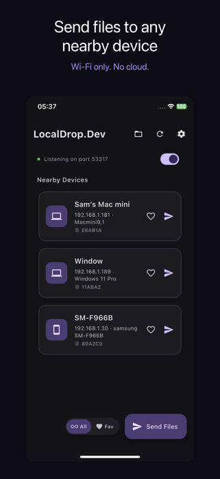 LocalDrop.Dev Screenshot 1 of 5