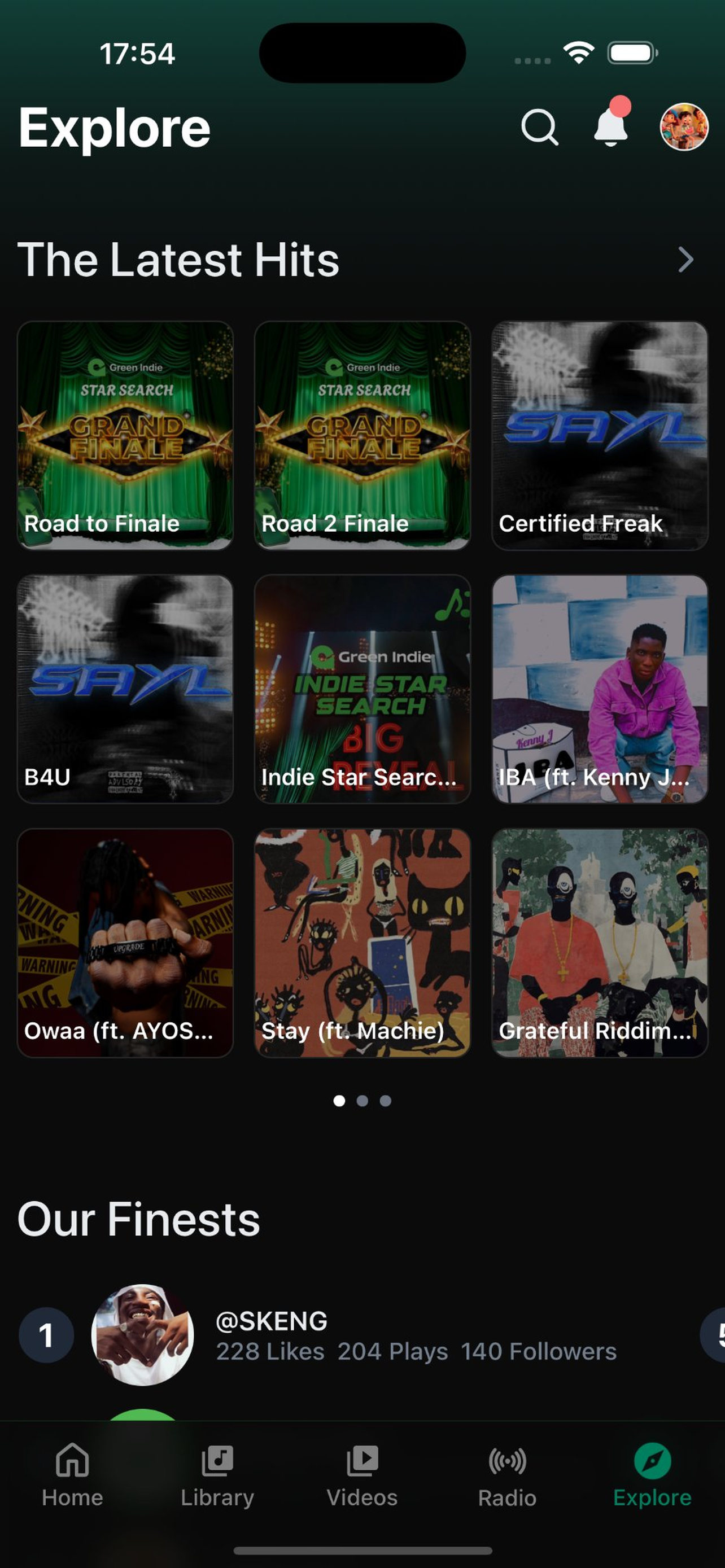 Green Indie screenshot 4