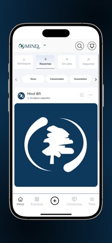 MIND BR screenshot