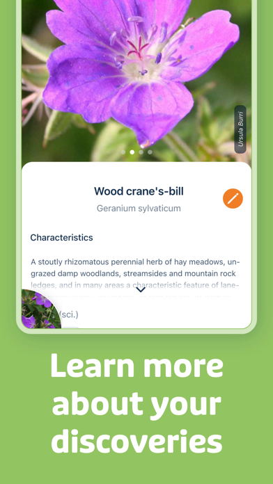 Flora Incognita Screenshot
