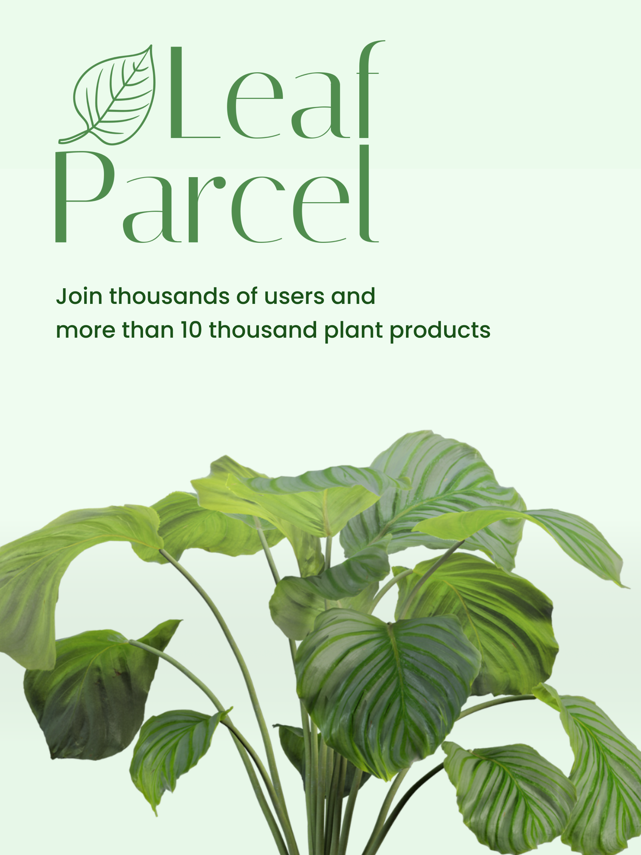 Leaf Parcel screenshot 5