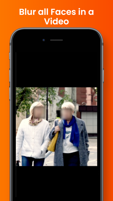 Video Face Blur Screenshot