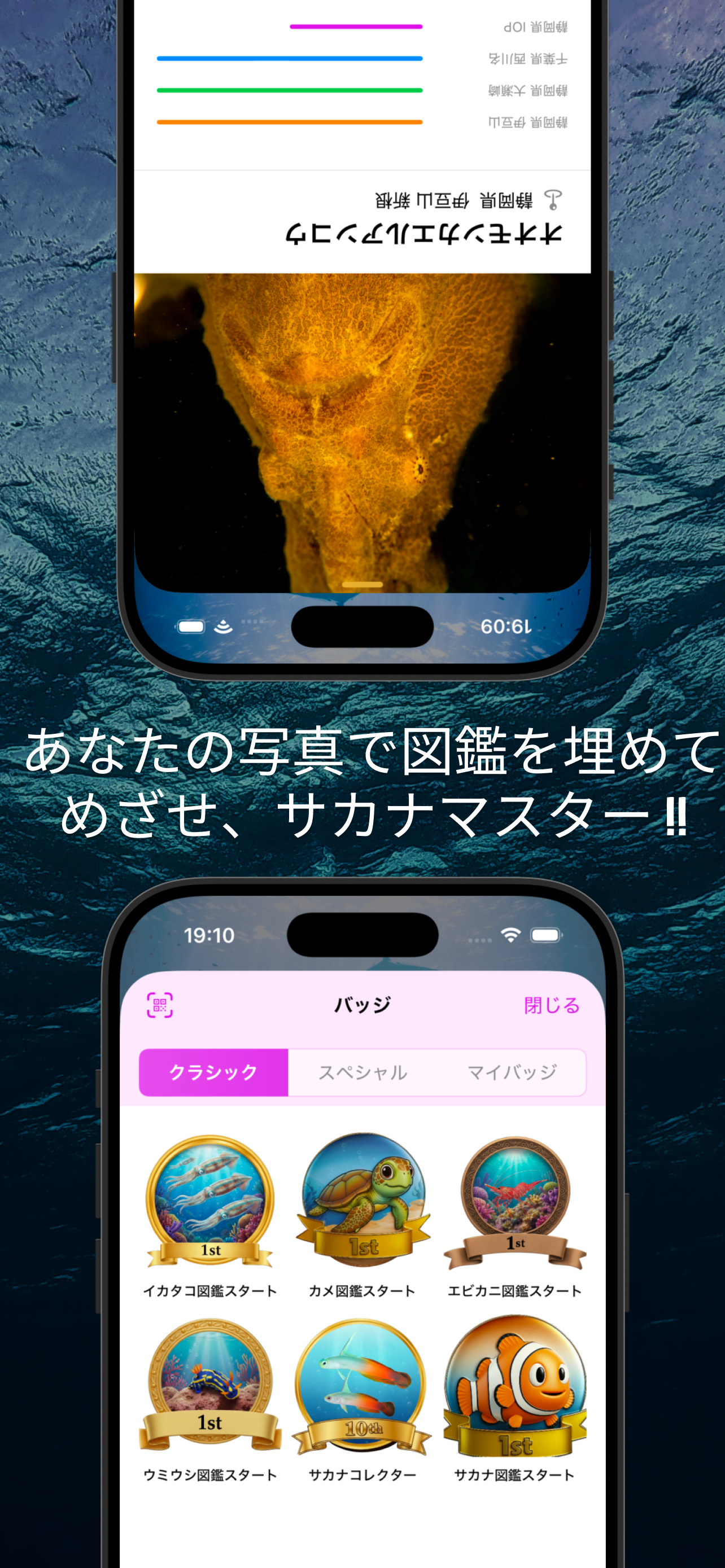 mog-log｜みんなで作る海の生き物図鑑