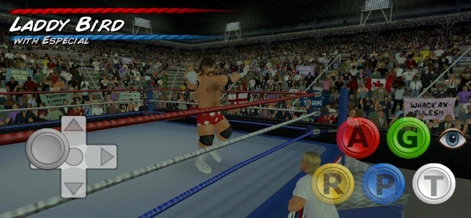 Wrestling Empire - Soak in the vibrant arena atmosphere and responsive on-screen action buttons, delivering a fun-first, retro-style wrestling experience.