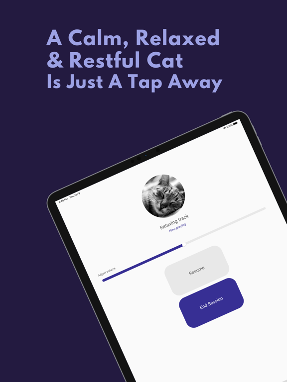 Relaxing Cat Sounds iPad screenshot 4 - Music app